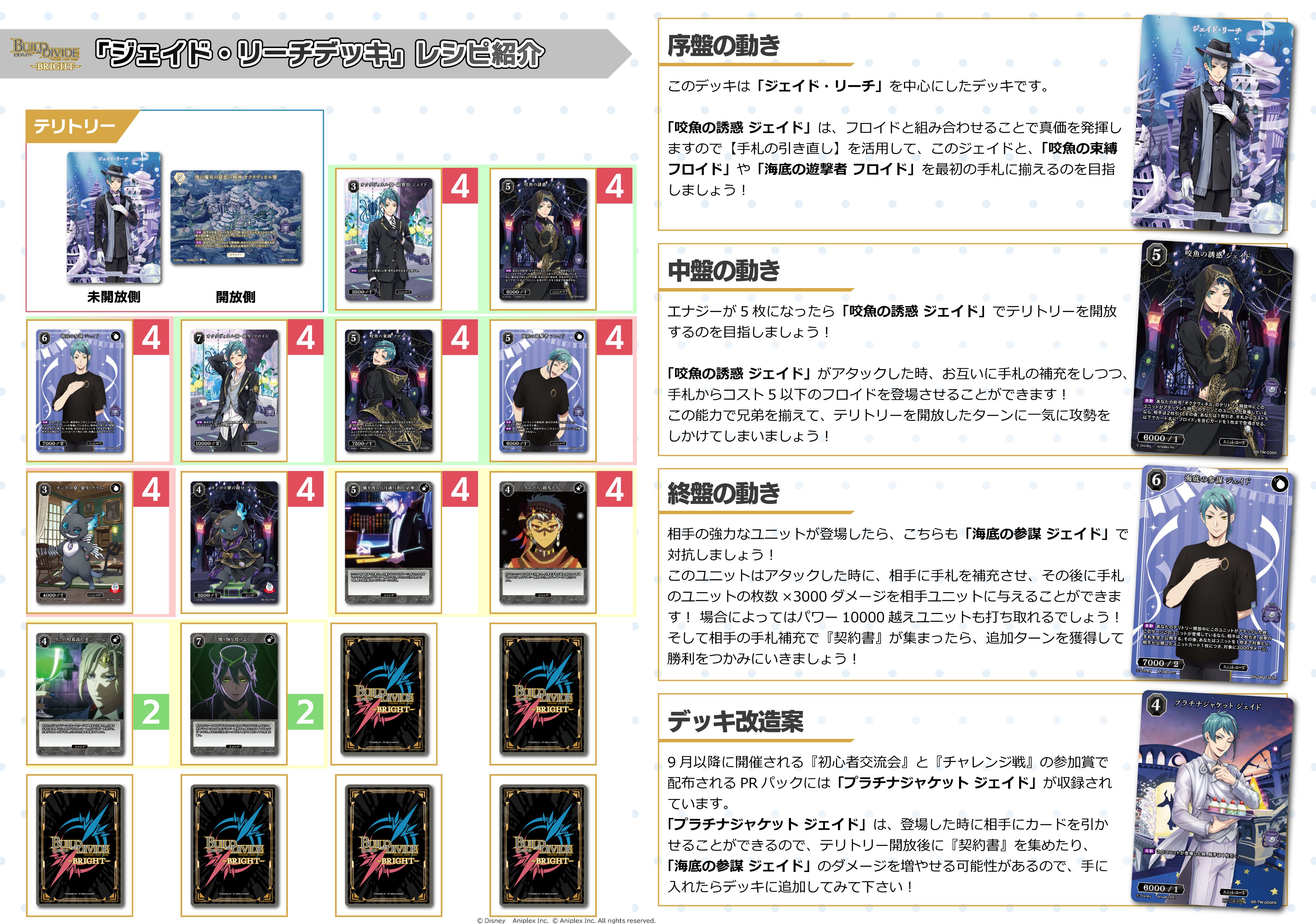 ビルディバイドブライト　ワイルドルール サイン　PSA10 Amazon.co.jp: PSA10 ビルディバイドブライト NieR 儚い想い2B