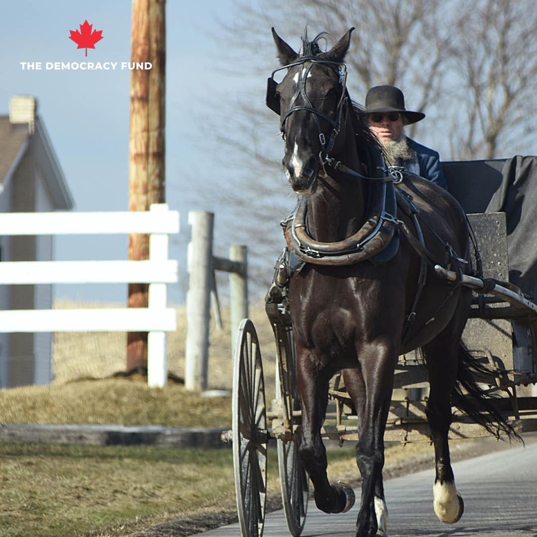 TDF_Can's tweet photo. 🚨UPDATE: TDF secures legal victory for Amish client in Quarantine Act challenge

The Democracy Fund secures a legal victory for an Amish client in Quarantine Act Challenge.

TORONTO— The Democracy Fund has achieved another significant win in its ongoing efforts to defend members of the Amish community facing convictions under the Quarantine Act. The convictions arose from tickets received by the Amish upon crossing the border during the COVID-19 pandemic: Crown prosecutors alleged that the Amish failed to provide information required by the ArriveCan app.

On September 25, 2025, the Niagara Provincial Court issued a suspended sentence with no fine ($0) for an Amish client whose conviction was previously overturned and reopened by TDF lawyers. The outcome ensures that a member of the Amish community is spared undue hardship caused by financial penalties and credit problems.

As previously announced, TDF filed reopening applications in Niagara Provincial Court on behalf of two Amish clients. The court granted the application for one client, overturning their conviction and scheduling a new trial, while denying the second application.

The clients, originally from an Ontario Amish community and now residing in the United States following marriage, were charged with non-compliance with COVID-19 regulations and failure to complete the ArriveCan app. These requirements posed significant challenges for the Amish, whose religious beliefs prohibit the use of modern technology. Many of TDF’s Amish clients face substantial fines and property liens, threatening their farms and traditional way of life. TDF remains unwavering in its commitment to safeguarding their homes and livelihoods.

TDF Senior Litigation Counsel, Adam Blake-Gallipeau, stated: “Obviously, the Amish have limited access to modern technology and live a Biblically-based lifestyle: this outcome upholds their religious freedoms. We're pleased with the result since it ensures that our client is no longer threatened with the destruction of his credit rating and financial penalties."

TDF proudly represents over 30 Amish clients across Ontario, advocating tirelessly for fair treatment under the law for these peaceful communities.

Read the full update and donate to the Amish legal fund here: https://t.co/u7Nvq6nOYy