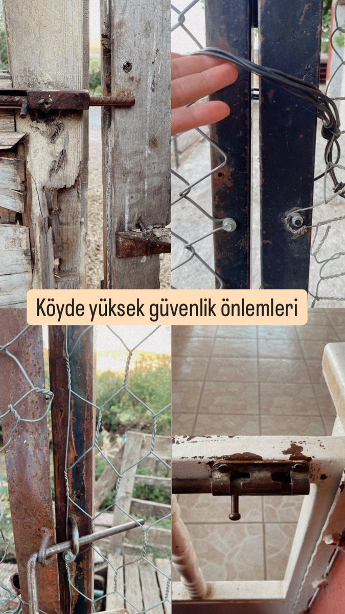 ajdaylayla's tweet photo. https://t.co/cNjrIHTx3t