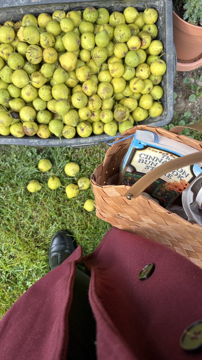 Maitha🇦🇹 tweet media