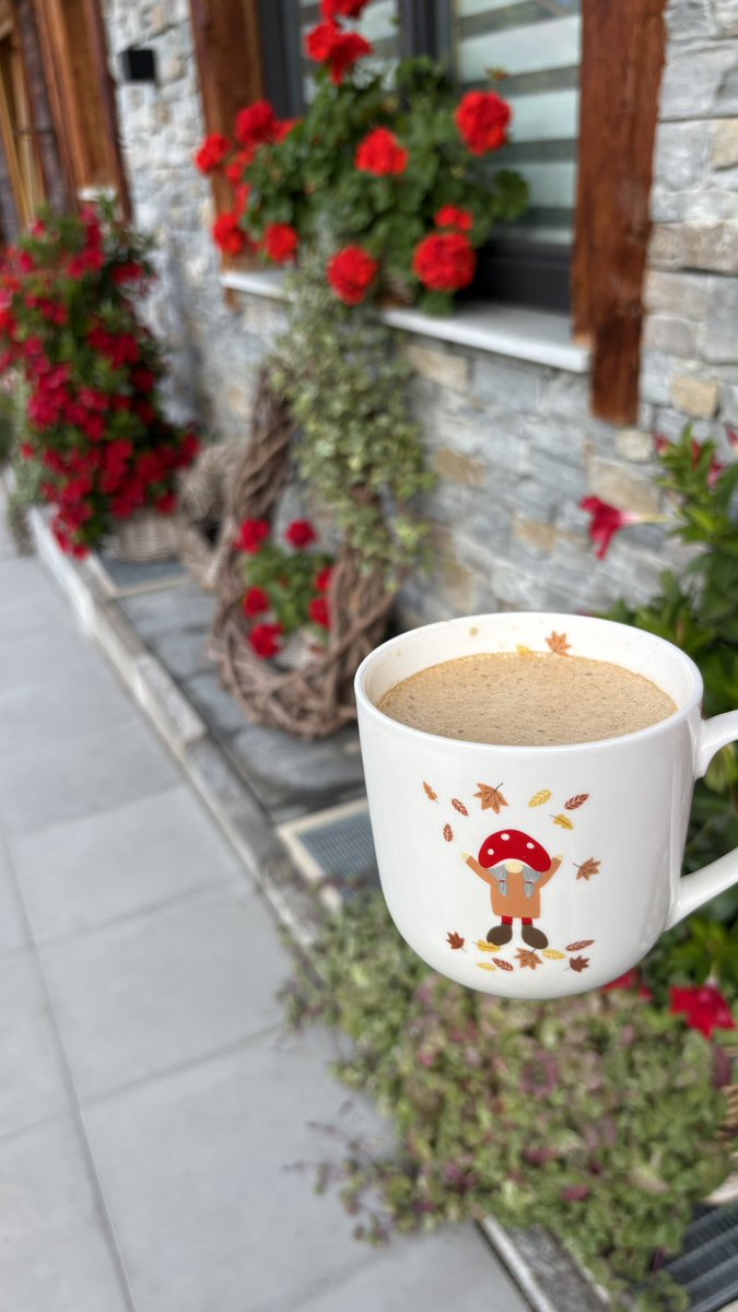 Maitha🇦🇹 tweet media