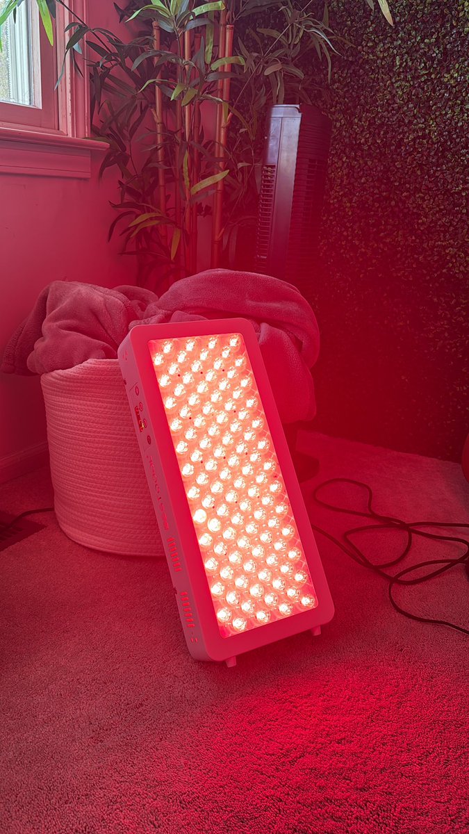 Kevin Carbone | Sauce Bae tweet media