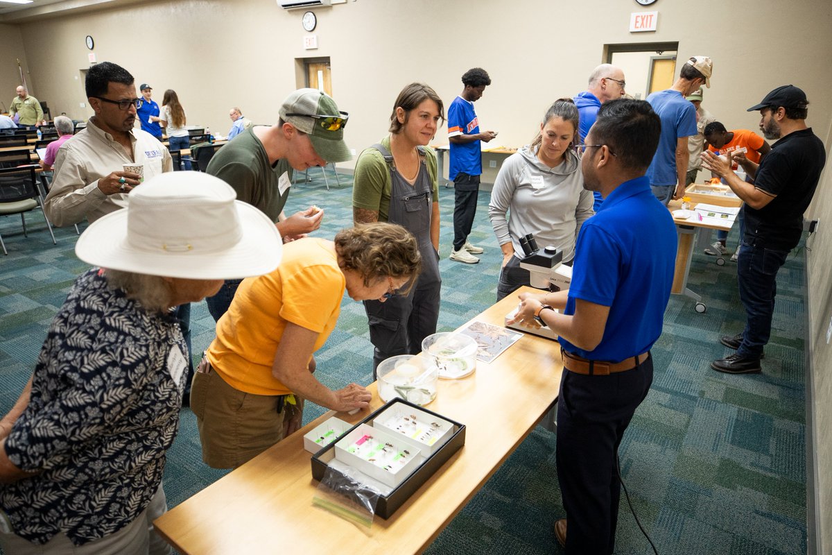 XavierMartini's tweet image. Our #organic field day last week was terrific. Small and organic growers were able to learn about whitefly management, grafting, and soil amendments compatible with OMRI practices—great collaboration with Extension agent Tatiana Sanchez-Jones and @FruitVegIPMLab.
#Extension