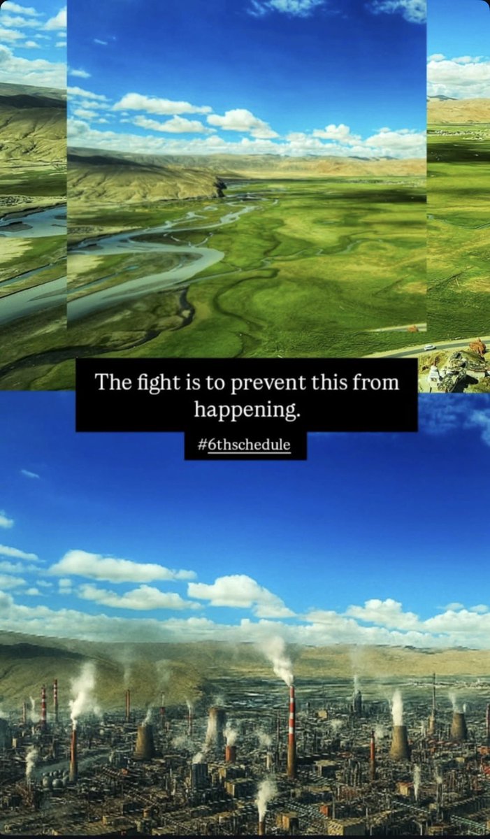 lobzang samstan tweet media