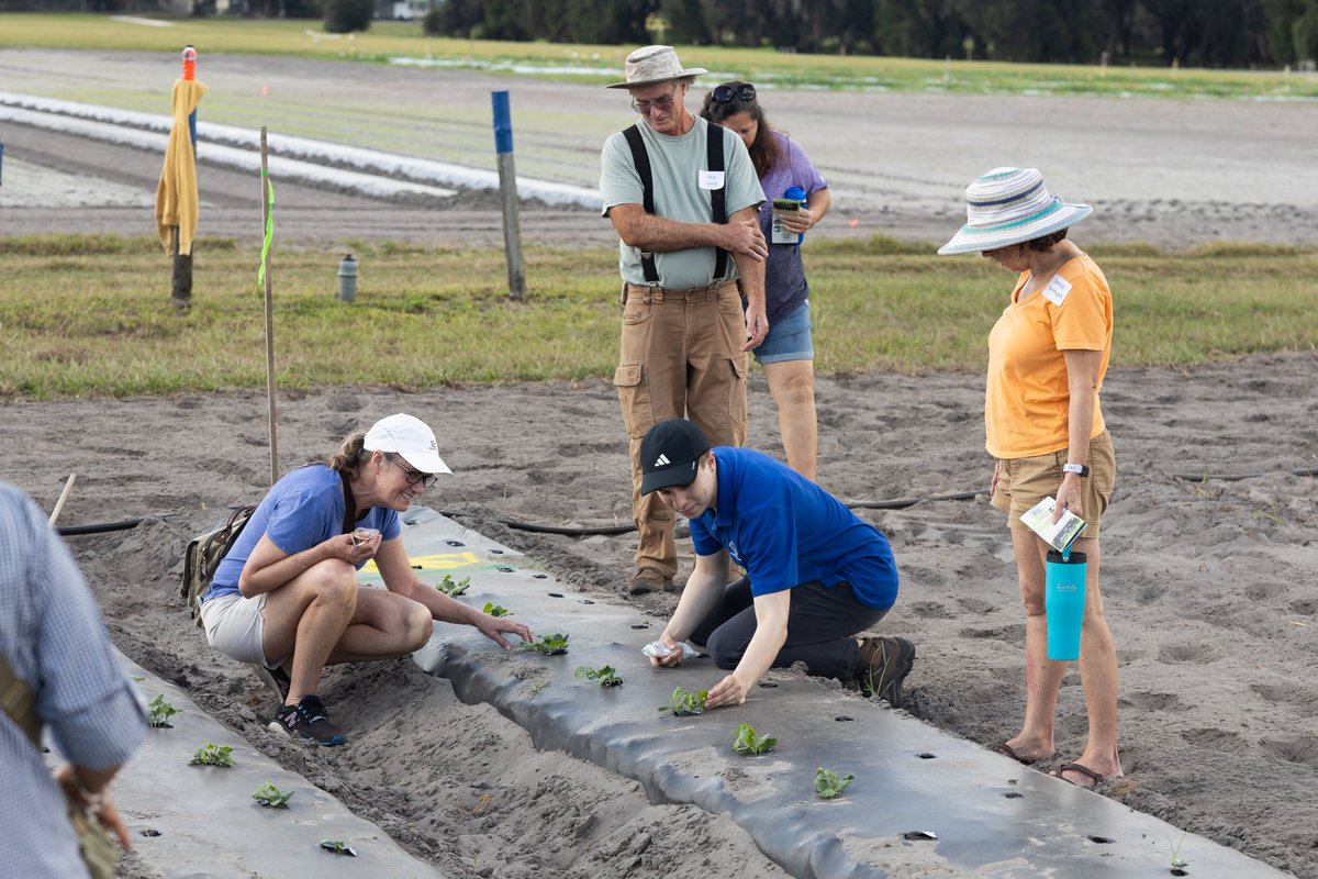XavierMartini's tweet image. Our #organic field day last week was terrific. Small and organic growers were able to learn about whitefly management, grafting, and soil amendments compatible with OMRI practices—great collaboration with Extension agent Tatiana Sanchez-Jones and @FruitVegIPMLab.
#Extension