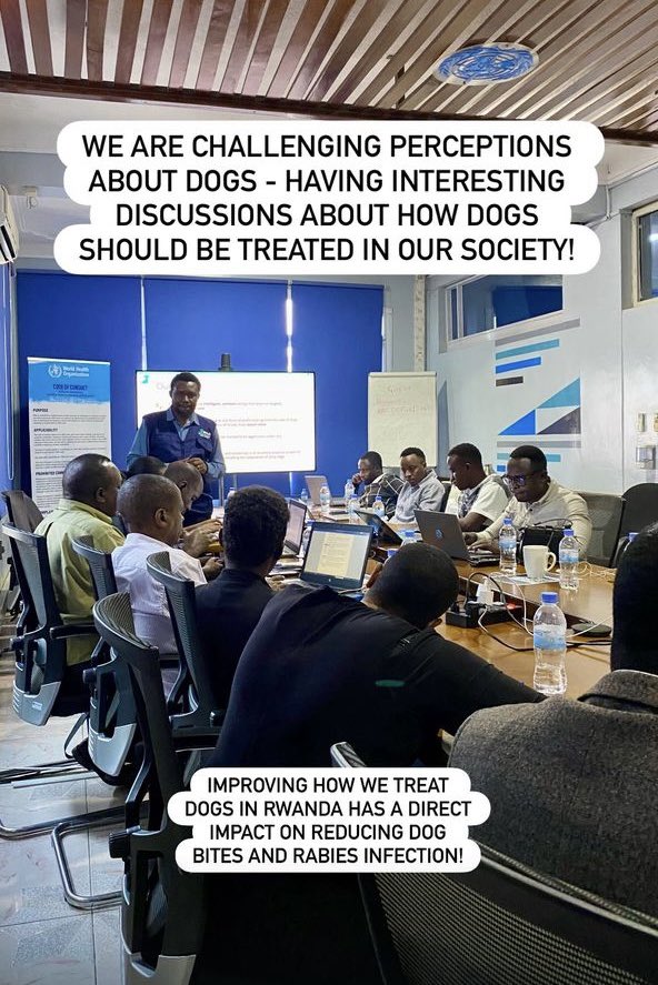 nduwarichard's tweet photo. I have choosen to raise awareness! it is up to every person within a community to work towards a rabies-free world.
Only by working as a global community is rabies elimination possible. What will you do in 2025 to
#ActNow?
#OneHealth
#WRD2025
#YouMeCommunity https://t.co/qPiD9OaCpc