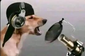 errorexe tweet media