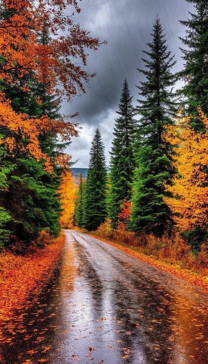 October is here! Can't wait for the fall colors! #fall #October1st #Canada