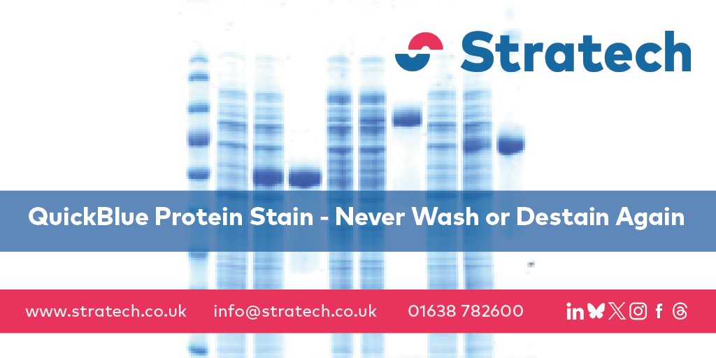 Stratech_UK's tweet photo. QuickBlue - In Stock! – Next Day Delivery!! *  
#QuickBlue is the new revolution in rapid 1-step #protein gel staining at a fraction of the cost of #InstantBlue’s

Discover for yourself here: https://t.co/KhDwuqEqBe 

* Subject to conditions

#labreagents #lablife #lifesciences https://t.co/nGfAuVqyJo