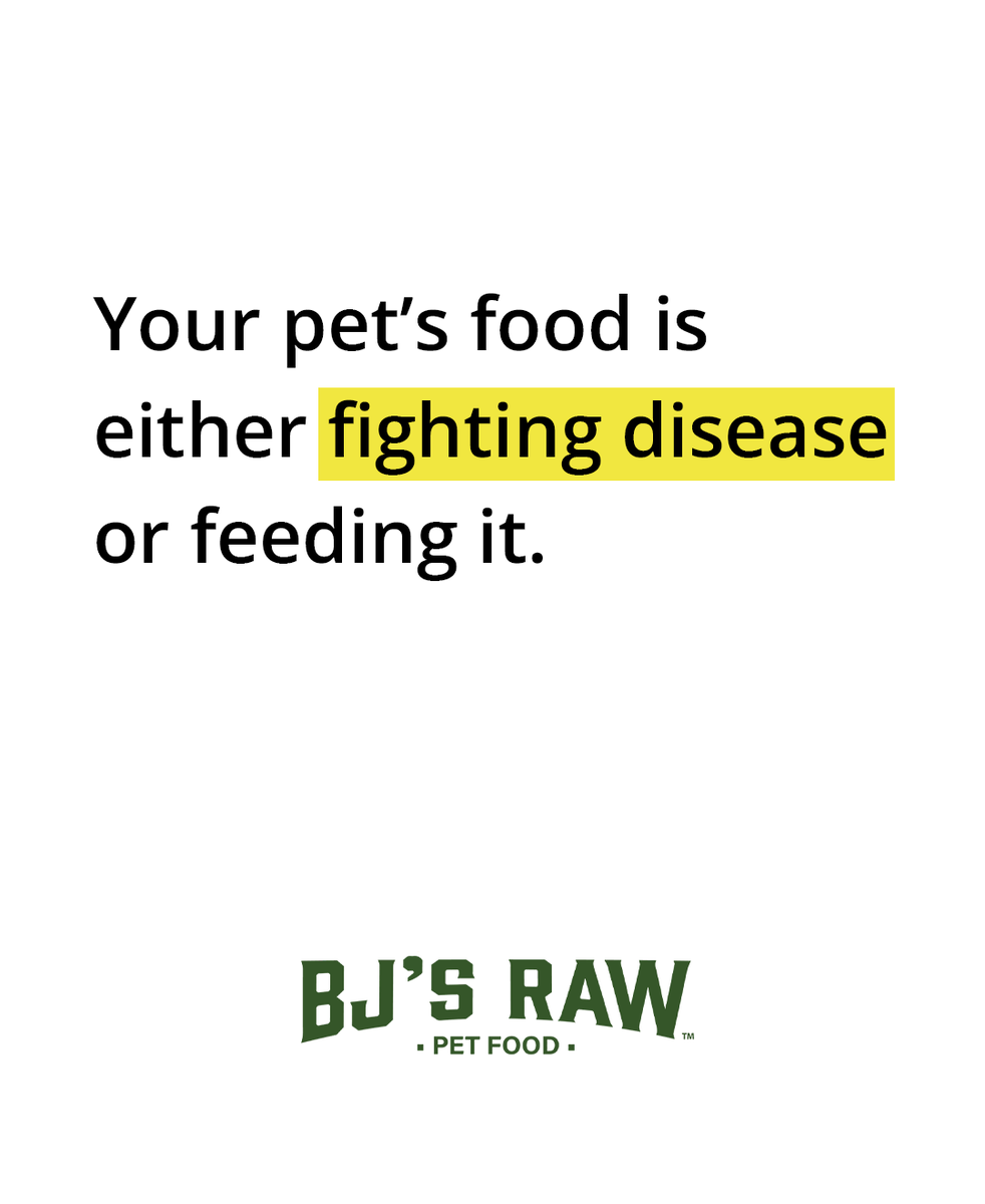 bjsrawpetfood's tweet image. "Your pet's food is either fighting disease or feeding it." - @drkarenbecker

No fillers, just natural ingredients packed with essential nutrients. Switch to raw today!🐶
#rawpetfood #kibbles #petfood #rawfeeding #rawdogfood