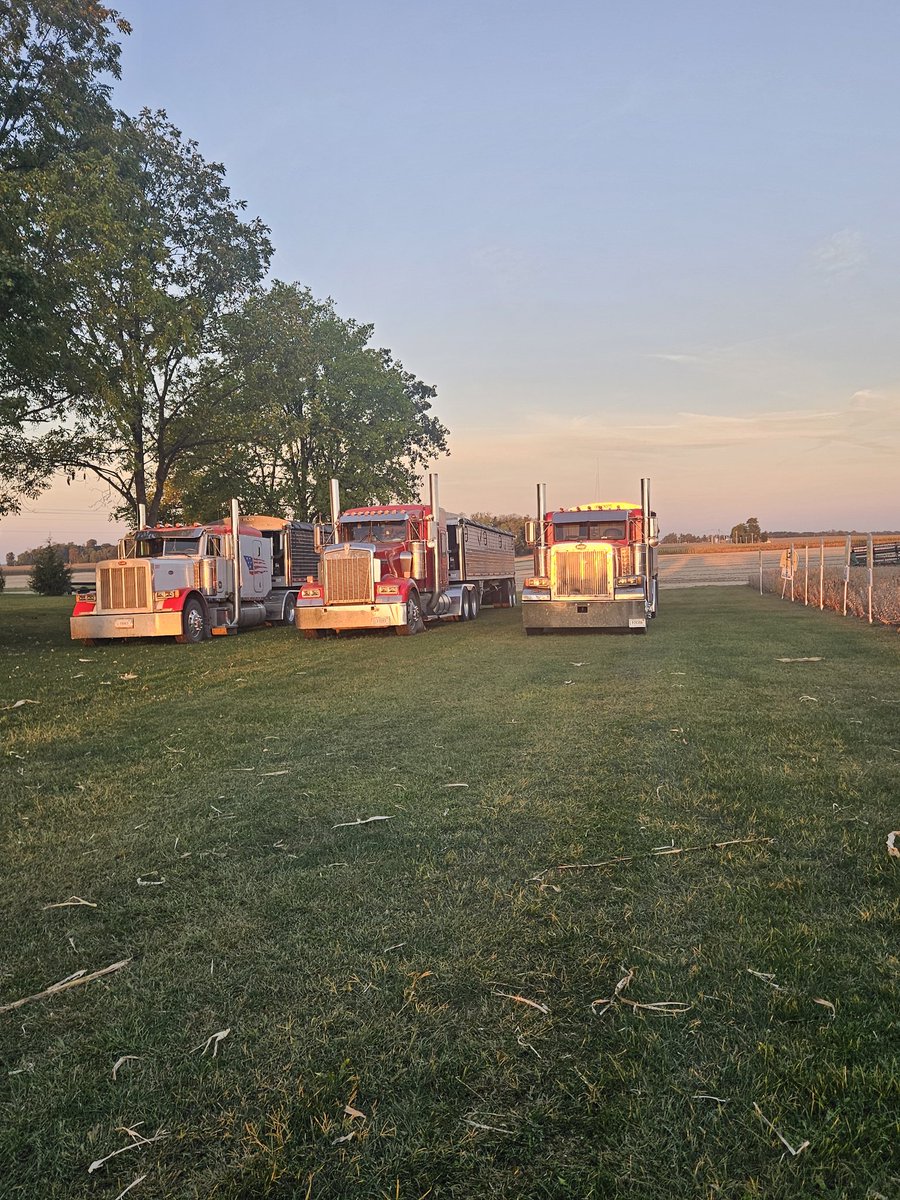 I occasionally get asked why we buy high dollar trucks. We don't. We buy projects that turn into high dollar trucks.