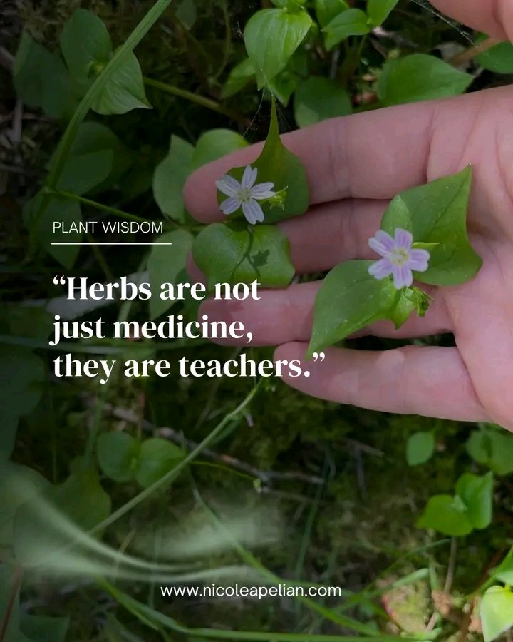 Dr. Nicole Apelian tweet media