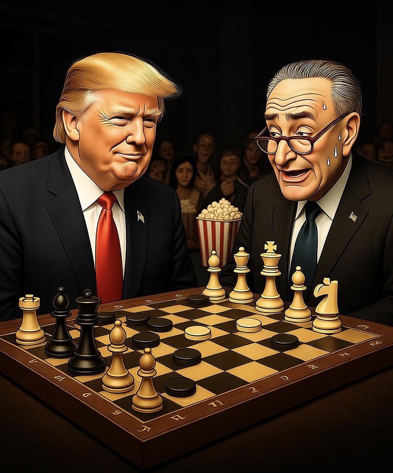 Chess vs Checkers

Dems, Trump now has the authority to decide which federal services stay active. Many agencies could close, and some non-essential workers, who are called that for a reason, might lose jobs permanently. The GOP can use this as a chess move while the Dems play