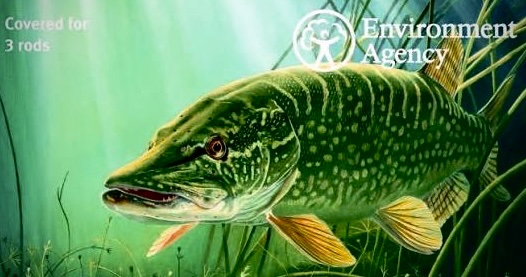 EA Fisheries - Devon and Cornwall tweet media