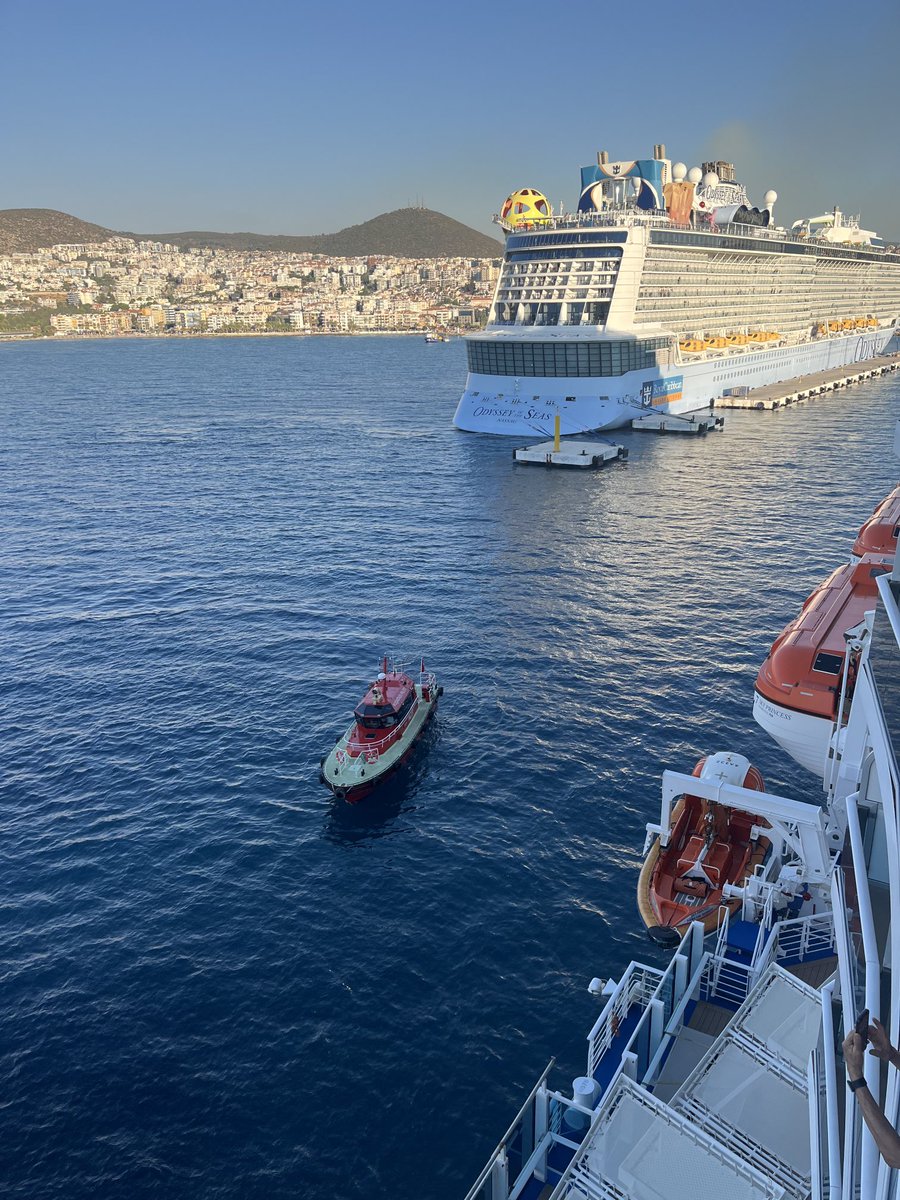 Carol Challis tweet media