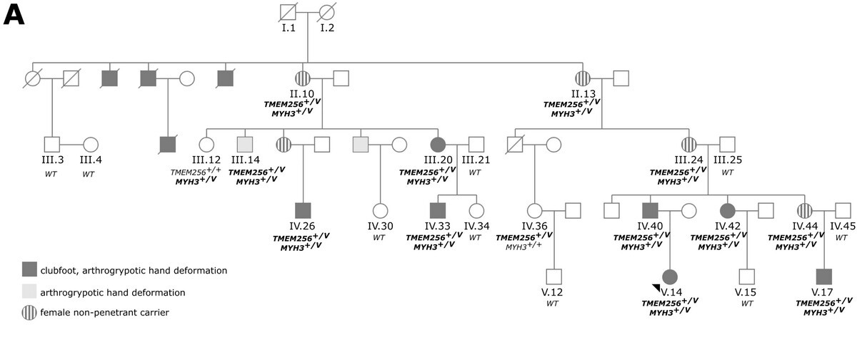 Editor, Annals of Human Genetics tweet media