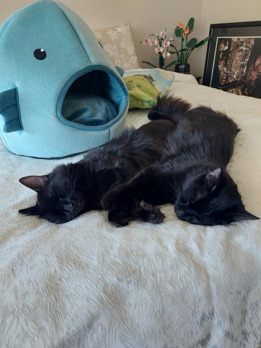 It's Rainin Menz tweet media