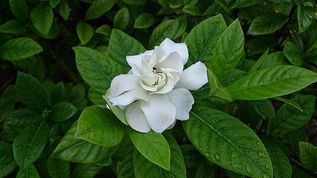 FinaGar36483756's tweet photo. #competic https://t.co/nTnEu8bYP7