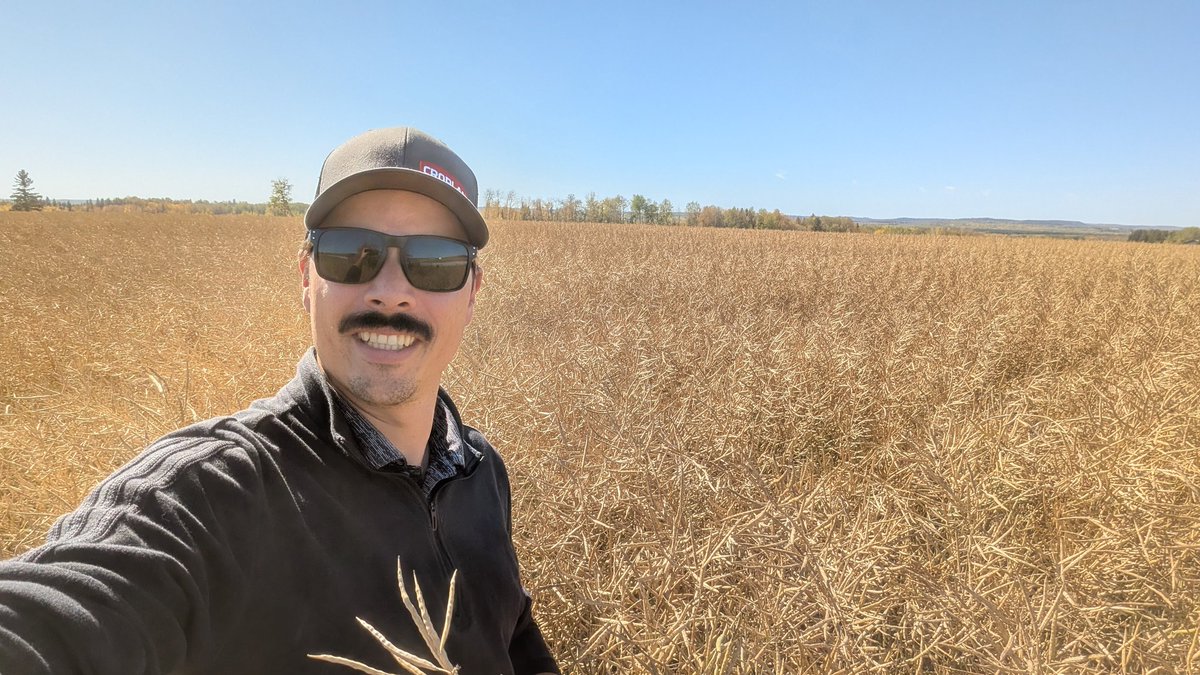 A little #CROPLAN Spring Canola in Ontario? This CP22T1C looks FANTASTIC in Northern Ontario - excited to see the results #ontag #harvest25 #canola #WinFieldUnitedCanada