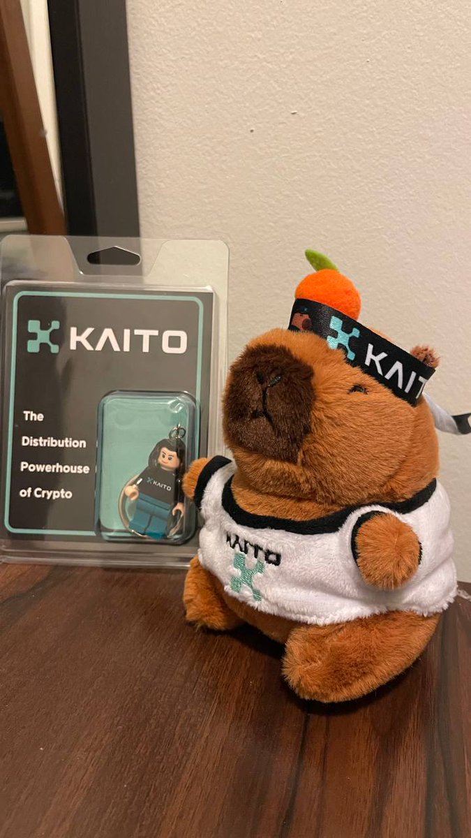 edwardmoktar's tweet image. @KaitoAI homecoming merch haul! ( This yapybara will be my source of motivation to yap daily)

Venue was full when I came &amp;amp; had to wait for a few mins to avoid overcrowding—just shows how crazy is the interest in InfoFi. 

@KaitoAI is just getting started, Q4 is here starting…