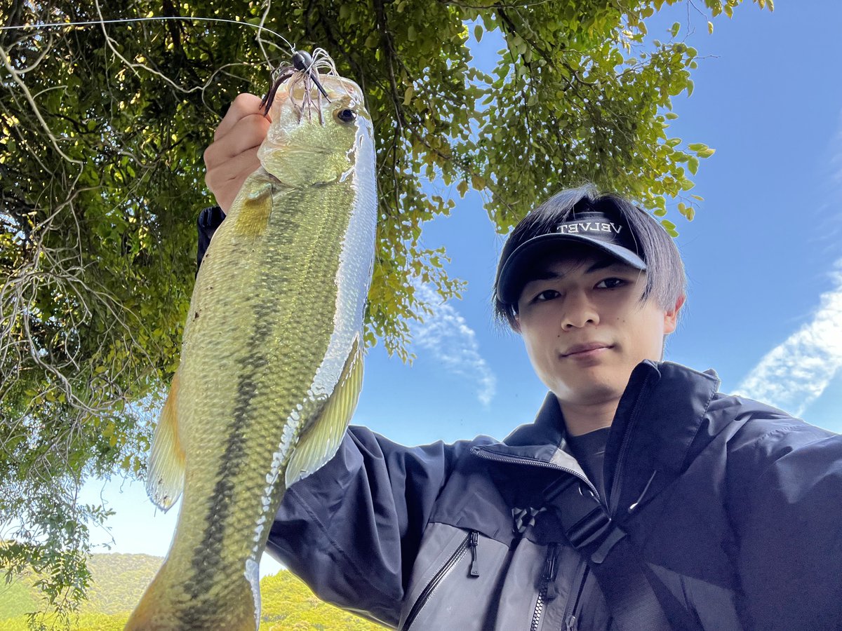 先週くらいの丹沢湖40ないサイズ×2
バルビュータほんと釣れるね、なんで今まで使わなかったんだろ