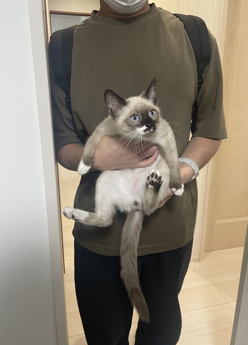 CORE:⁄FrogTree 麟核 ワンフェス夏8-03-01／CORE:5 (@coas_tree