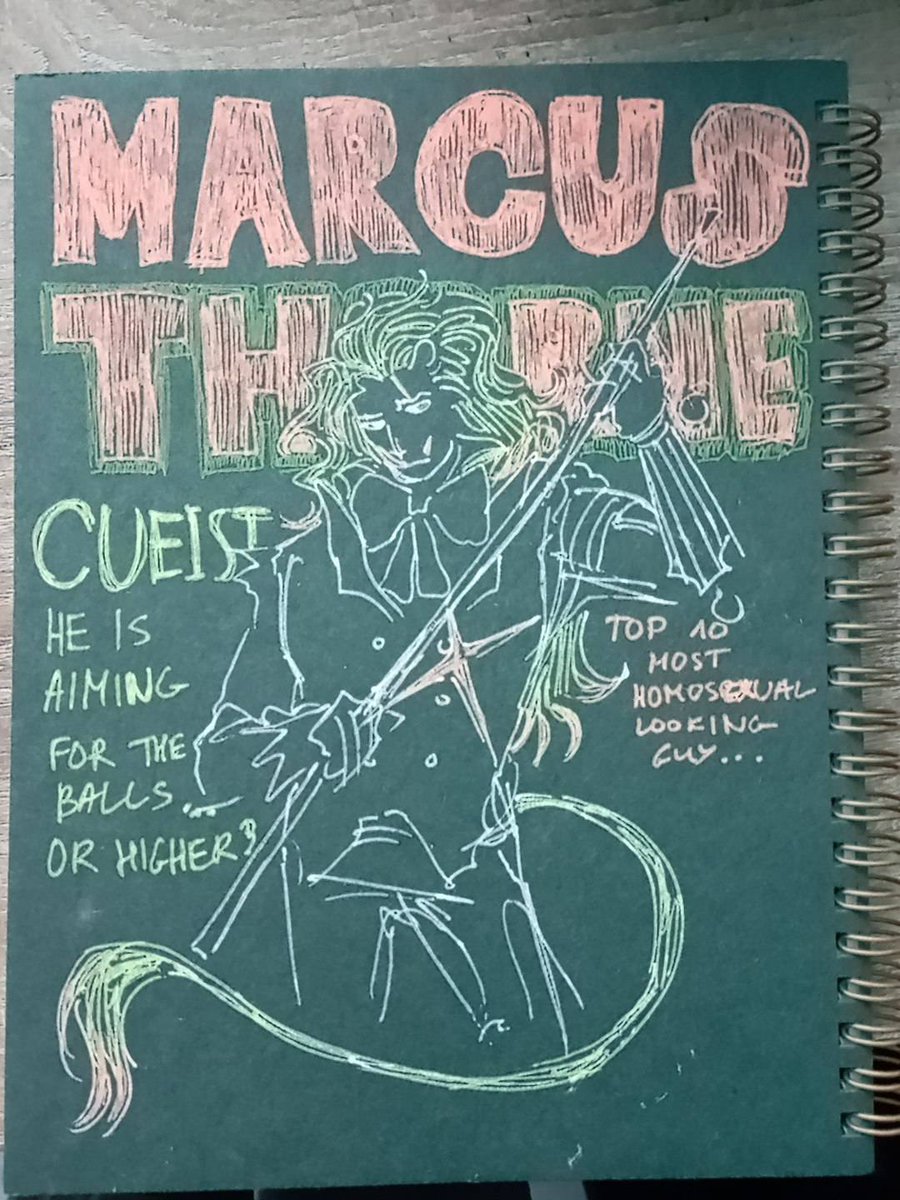 drew my favorite slop on my new sketchbook's covers heh.. 🦎🎱