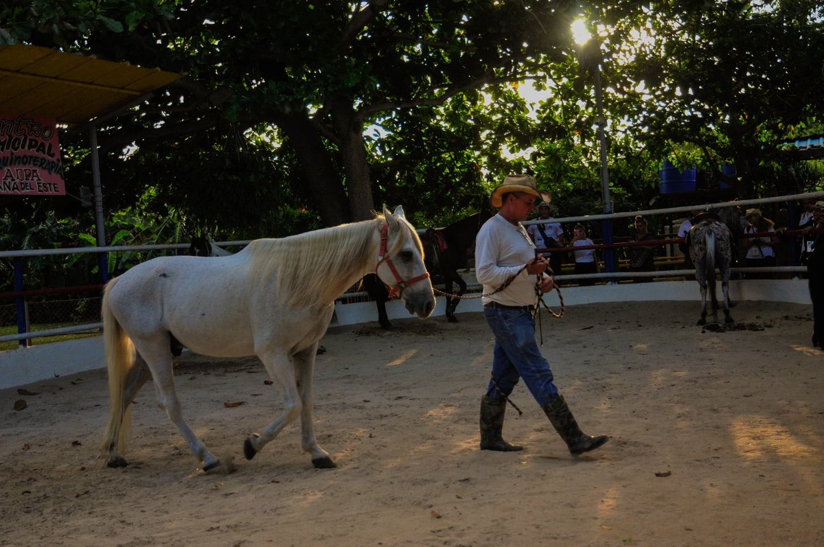 🌿¡Descubre la magia del turismo rural cubano! 🤩 Los participantes del X Encuentro Iberoamericano de Turismo Rural y Agroturismo descubriendo las experiencias y la riqueza del campo cubano. 📸❤️

#Cuba #CubaUnica #CubaTravel #TurismoRural #EncuentroIberoamericano