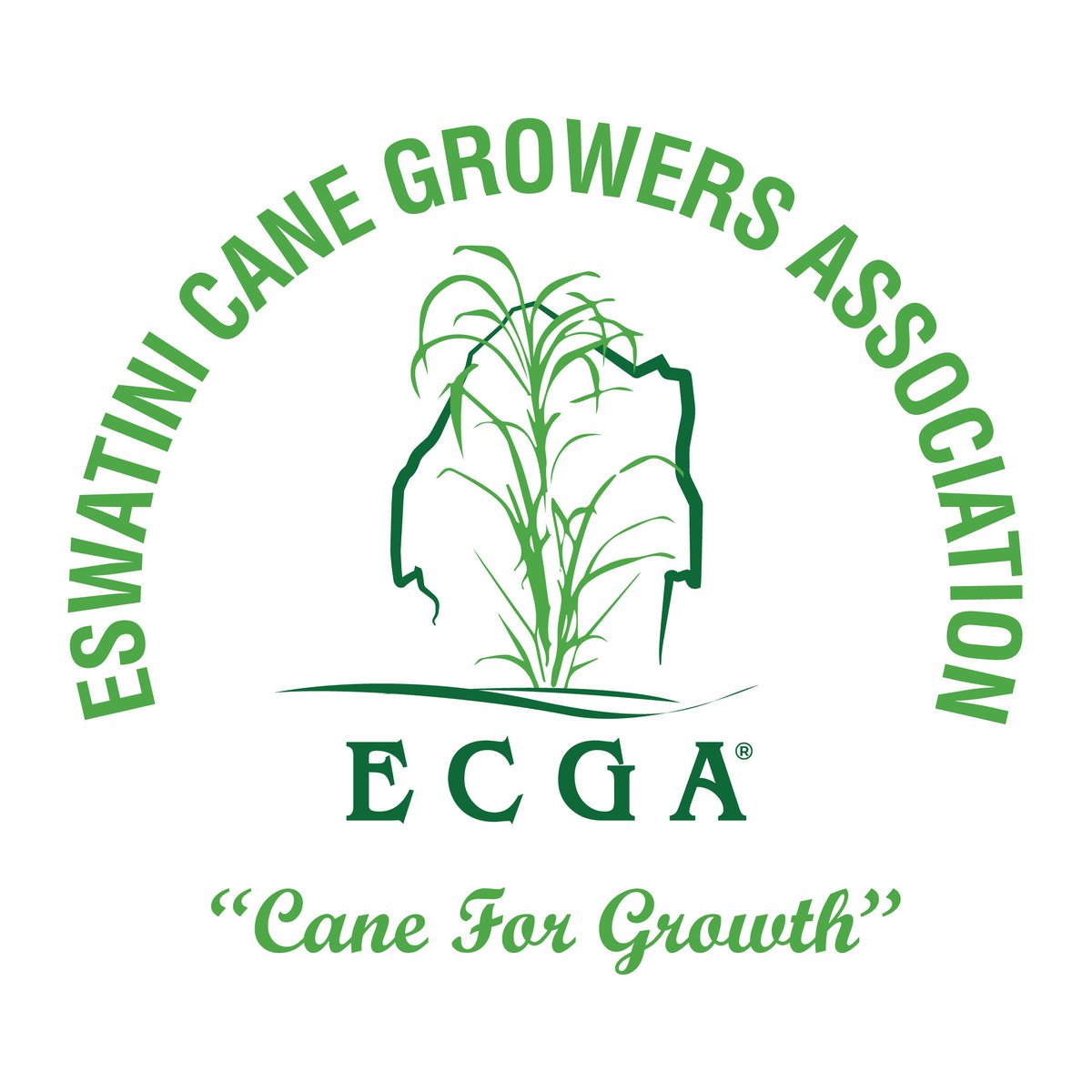 ECGA CONTRIBUTES E50,000 TO RECOGNISE ITS MEMBERS!
👨🏾‍🌾👩‍🌾We always look forward to the competition. Over the years we have diligently provided financial and non-financial support with the view that it is an opportunity to recognise our members' excellence,"said ECGA CEO Dr Nkambule
