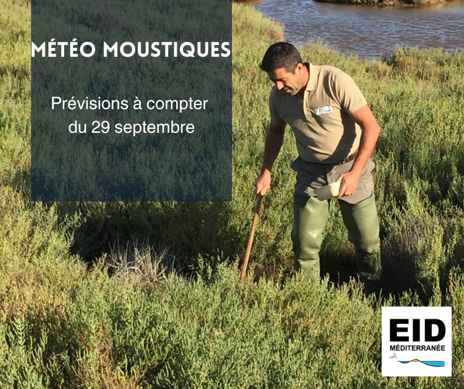 🦟Météo #moustiques ruraux
Prévisions à compter du 29 septembre en <a href="/Occitanie/">Région Occitanie</a>
 par département : eid-med.org/bul-operationn…
Pas de nouveau risque enregistré pour la semaine à venir.
📍 <a href="/departement13/">Département des Bouches-du-Rhône</a>
📍 <a href="/Gard/">Conseil départemental du Gard</a>
📍 <a href="/Heraultinfos/">Département de l'Hérault</a>
📍 #Aude
📍 <a href="/leDepartement66/">Département des Pyrénées-Orientales</a>