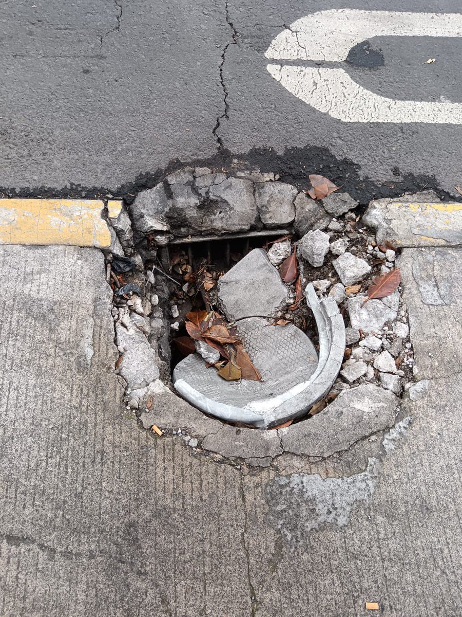 Alex Montiel tweet media