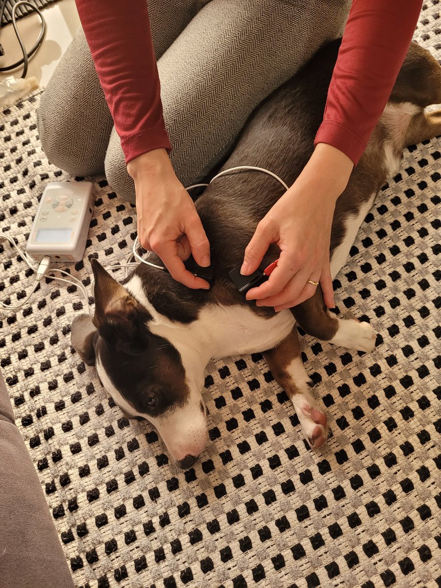 Fisio da semana!! 👏💕