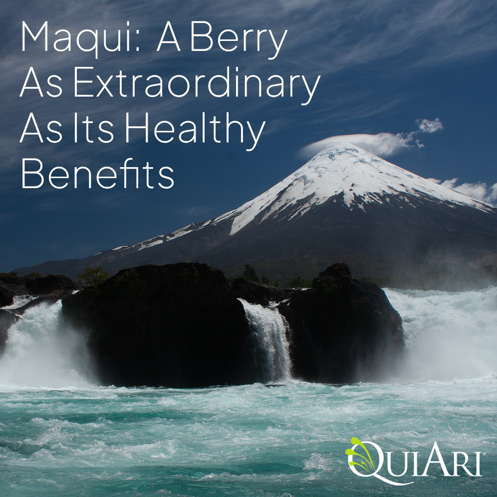Our superfruit has a secret! 🤫 
Maqui comes from a remote region nicknamed "The End Of The World."  🌎 
Maqui is harvested by hand by the native Mapuches, cleaned, dried, blessed, and transported by canoe 🛶 to a processing plant. 🏭 
One tiny berry, countless benefits. 💪