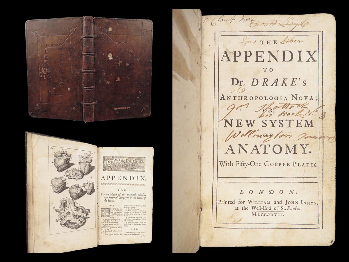 SchilbRareBooks's tweet image. Are you intrigued by human anatomy? 1728 James Drake's "The appendix to Dr. Drake’s Anthropologia nova." Interested? ow.ly/9oAR50X4Kc0
Want more? ow.ly/BFyt50X4Kc2

#Appendix #Anatomy #Engravings #Science #RareBooks #SchilbAntiquarian #Books #Reading #History