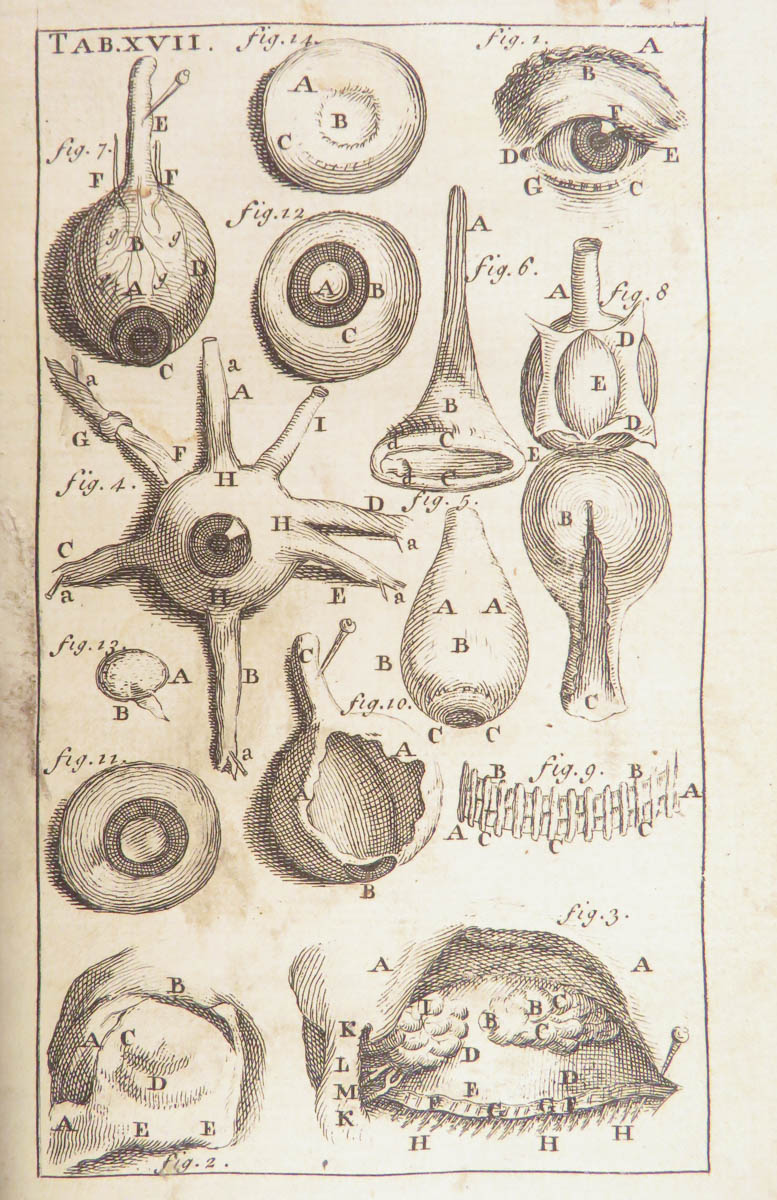 SchilbRareBooks's tweet image. Are you intrigued by human anatomy? 1728 James Drake's "The appendix to Dr. Drake’s Anthropologia nova." Interested? ow.ly/9oAR50X4Kc0
Want more? ow.ly/BFyt50X4Kc2

#Appendix #Anatomy #Engravings #Science #RareBooks #SchilbAntiquarian #Books #Reading #History