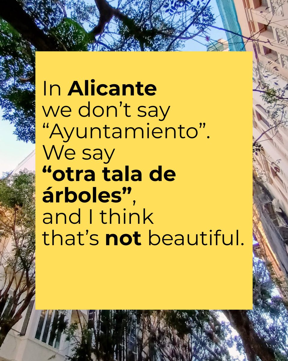 AVV Mercado-Plaza España tweet media