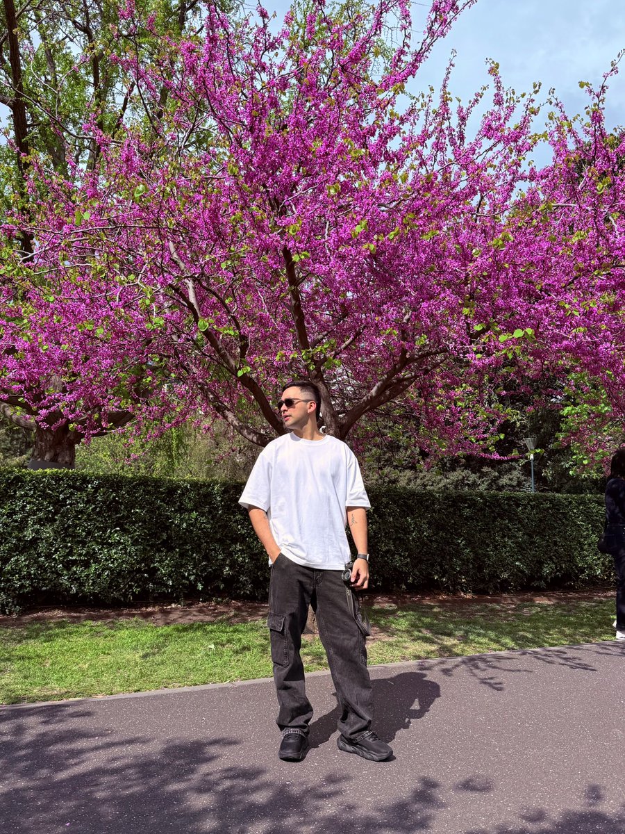 Spring 🌸
