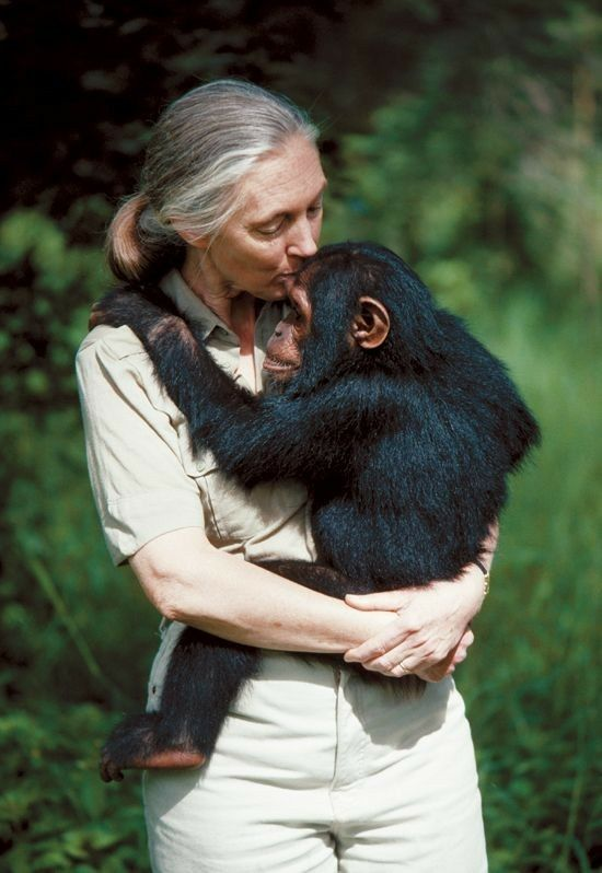 EnupGames's tweet photo. Our dear Jane Goodall https://t.co/J83K4h0Xjb
