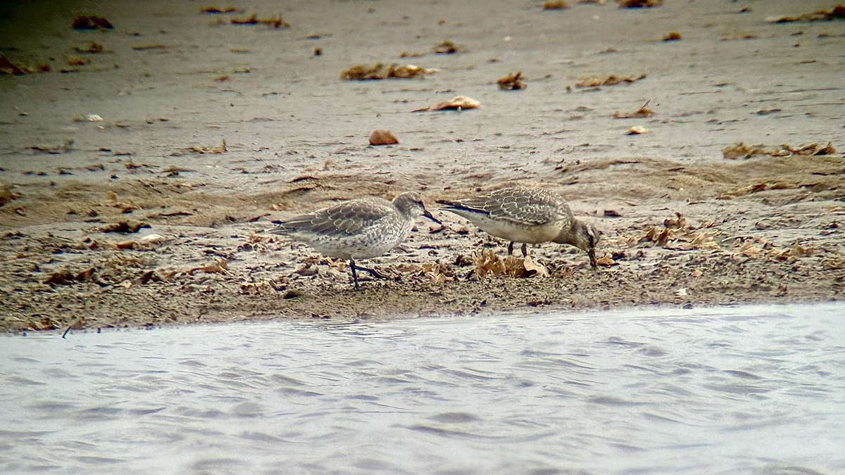 Our walk today from Skegness, south along the beach to Gibraltar Point.