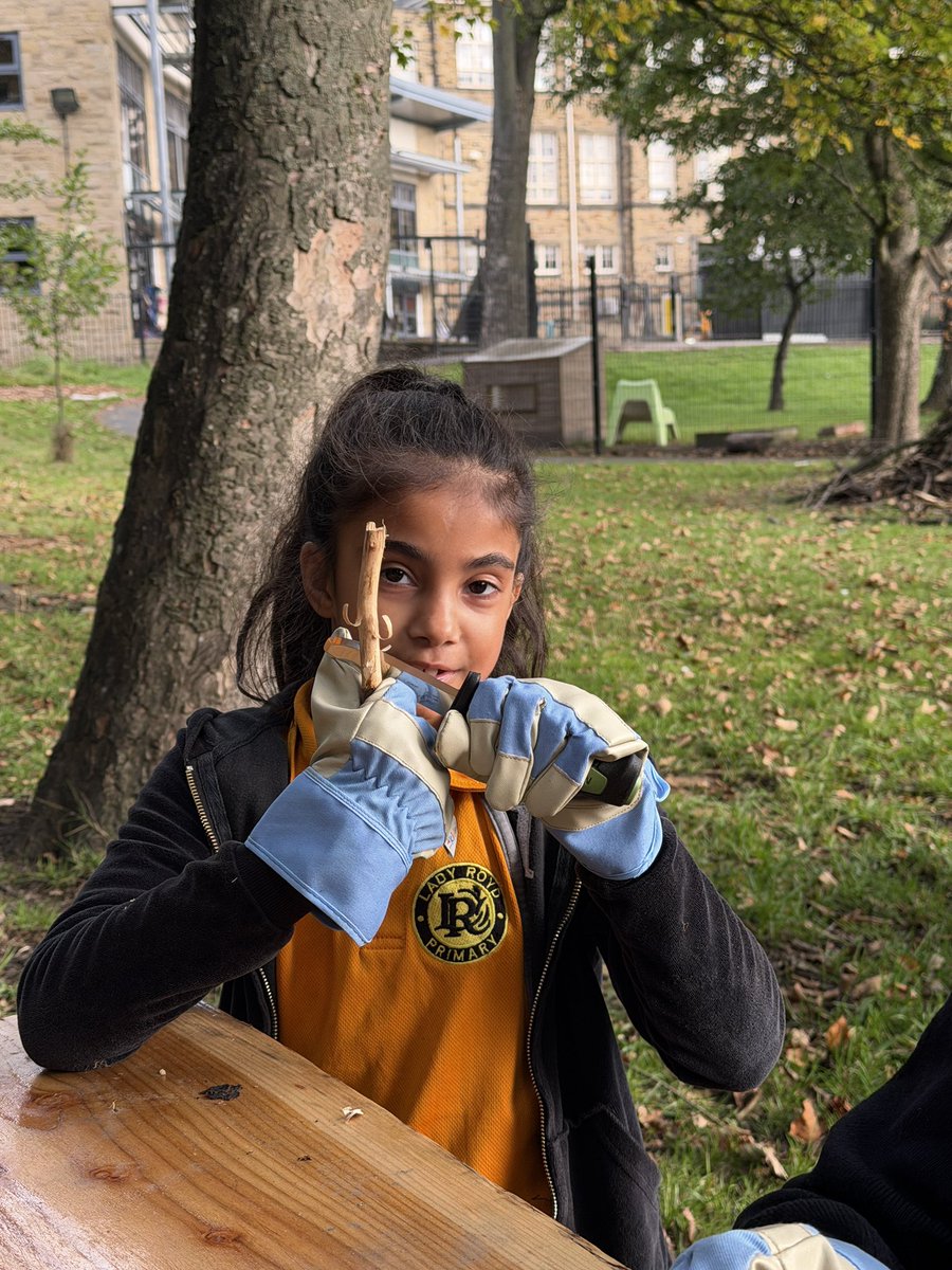 Lady Royd Primary School tweet media