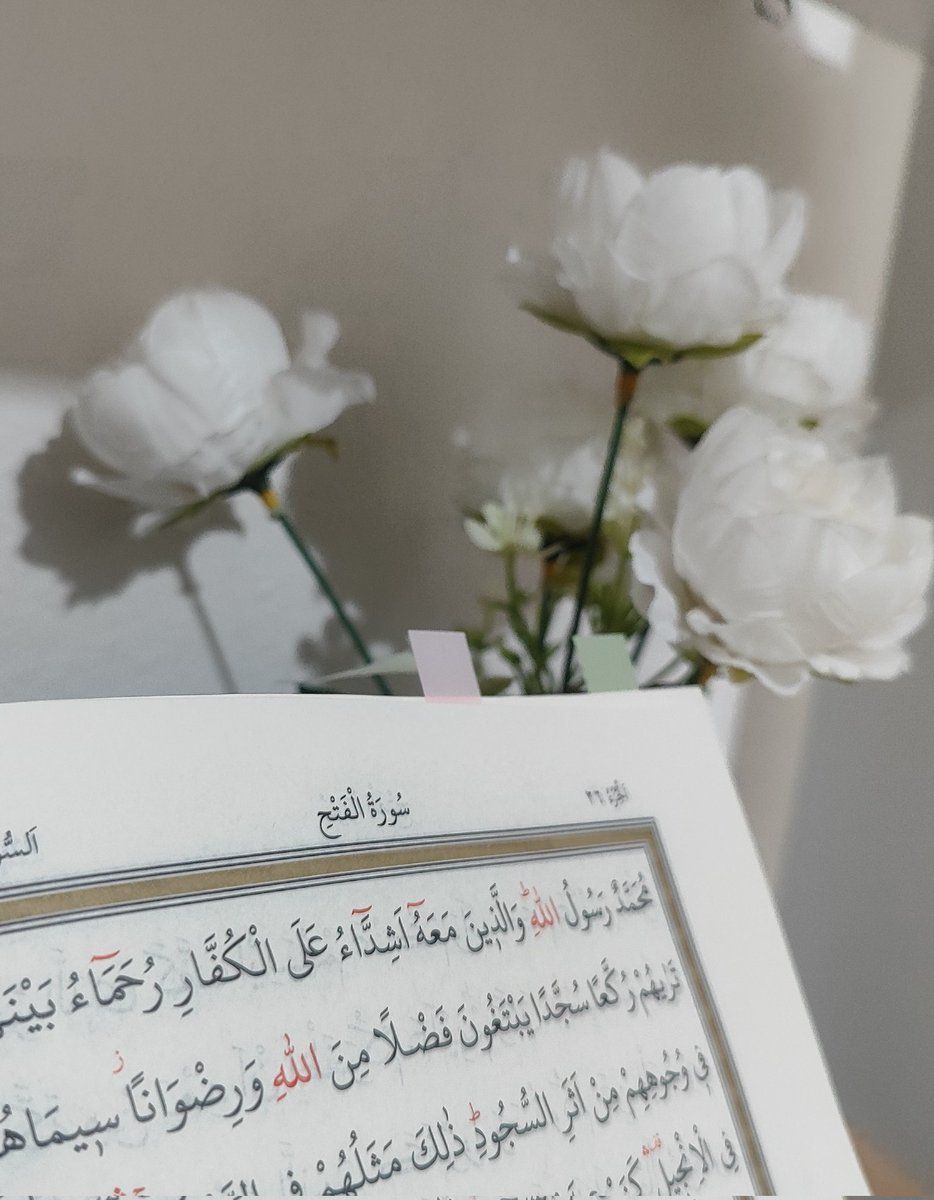 Kaçıncı fetih,kaçıncı yalvarışım bilmiyorum Rabbim  amaa lütfennn sahilde bekleyen minik yürekleri sevindirrrr...Onların hatırına dualarımızı kabul ettt