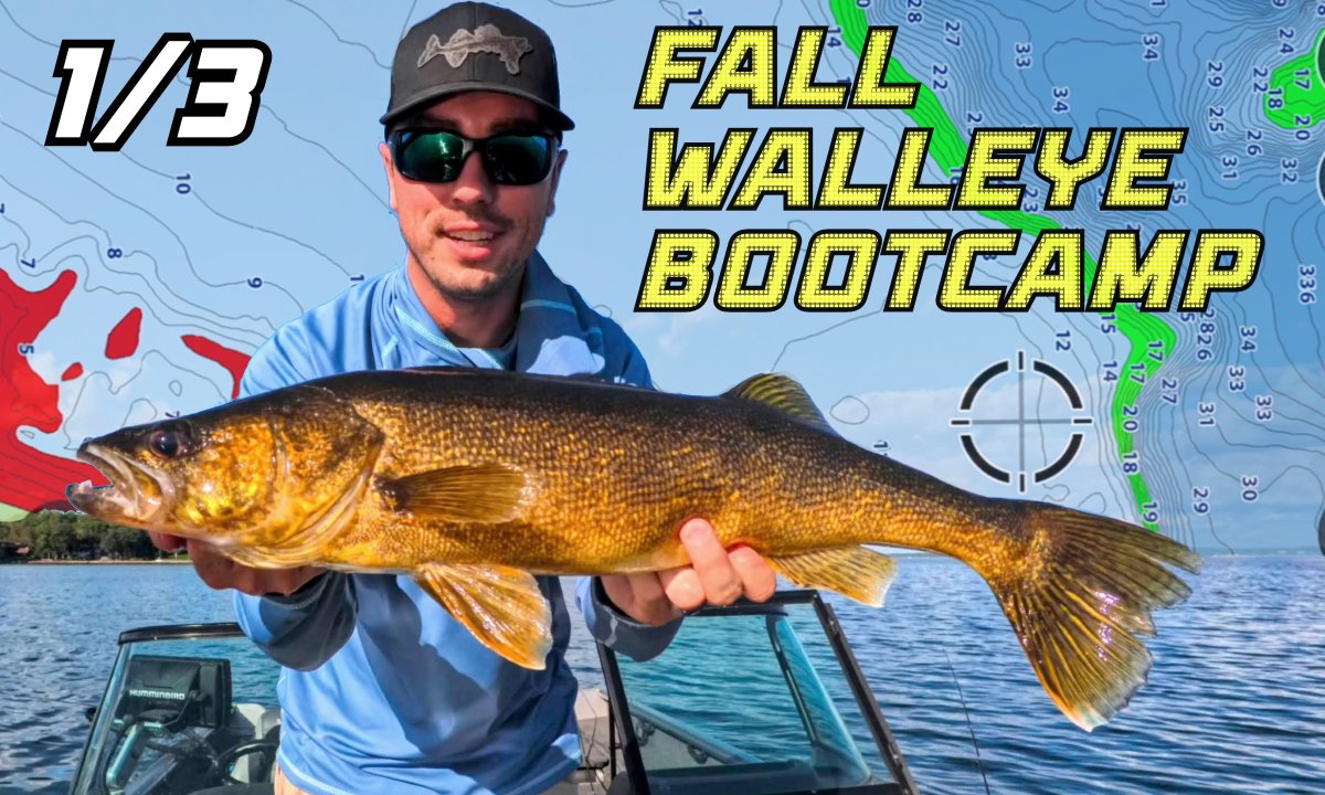 Northland Tackle tweet media