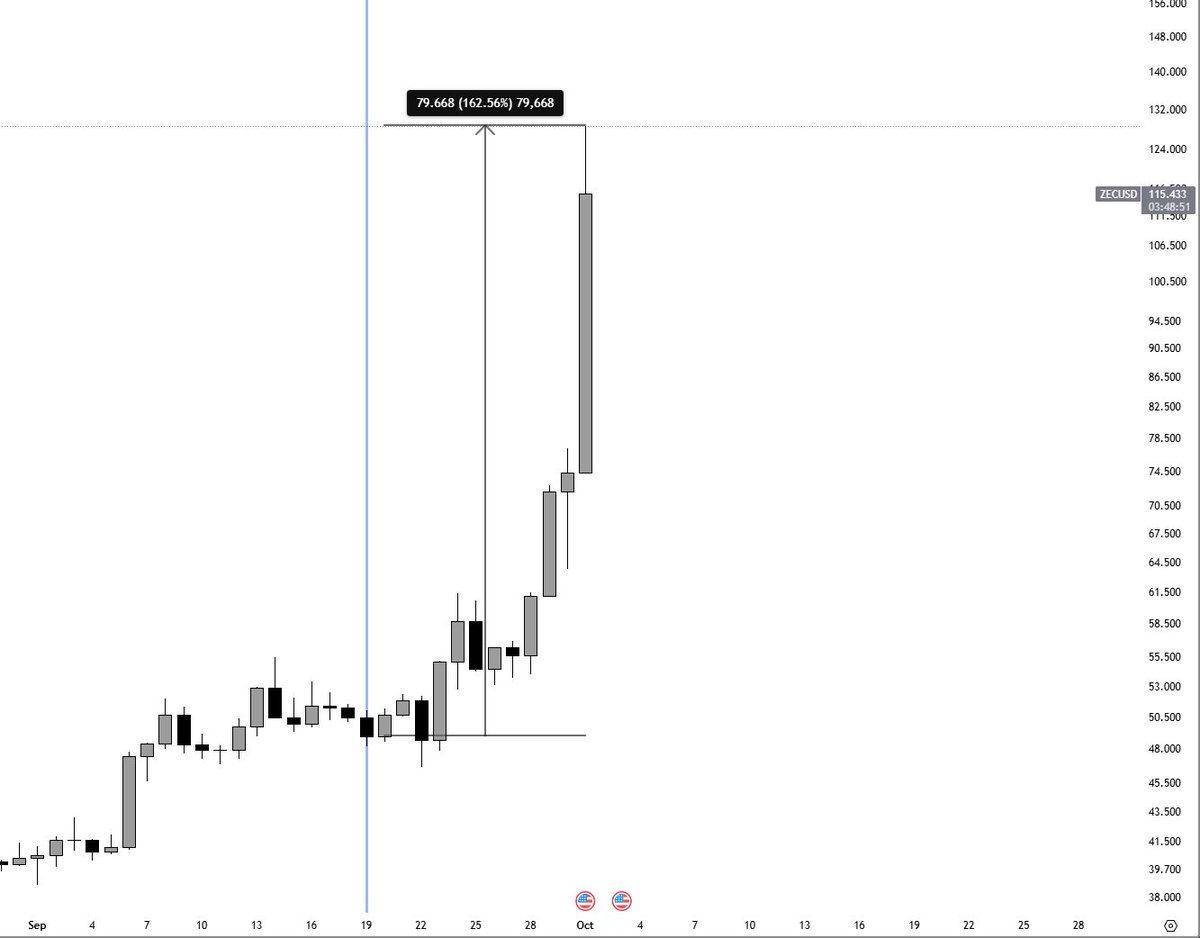 Turtle Commandant tweet media