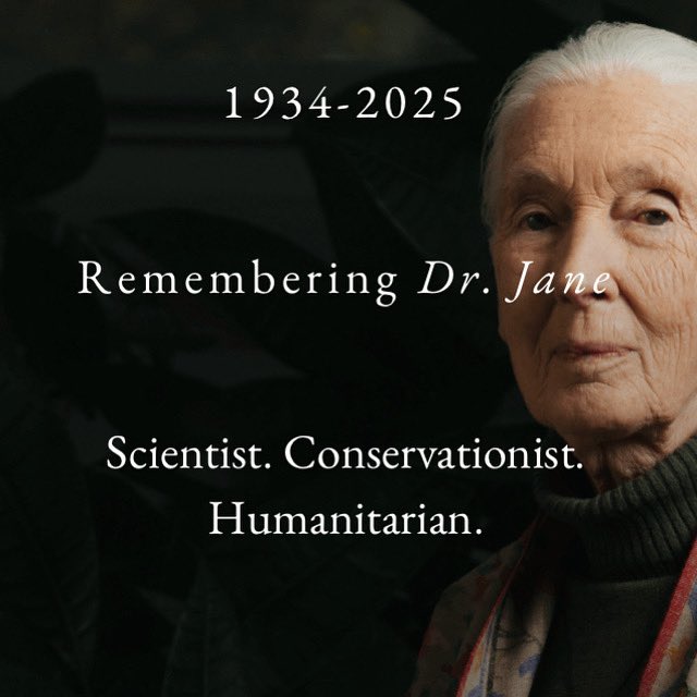 Craig Jones tweet media