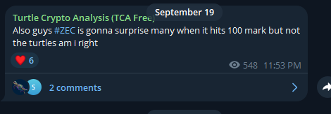 Turtle Commandant tweet media