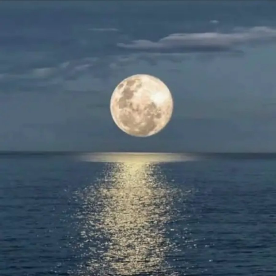 Always remember that your present situation is not your final destination, the best is yet come.

Good Night Fam,
🥀🌴🍁🌾🍃🌾🌼