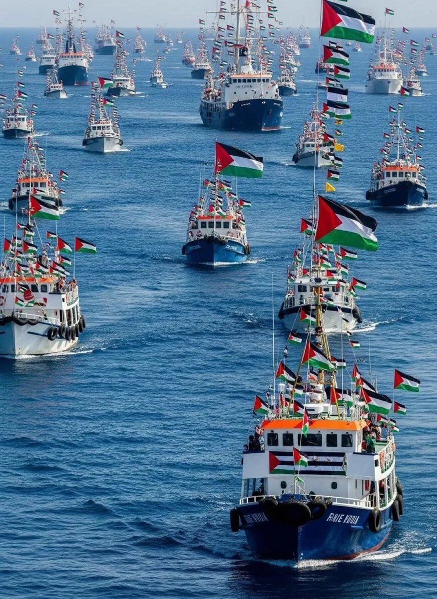 Bugün susarsak, yarın iki milyar Müslüman girecek cennet bulamayacağız. Paylaşın, paylaştırın.

"Yaşasın nehirden denize özgür Filistin" 🇵🇸🇹🇷

#SumudForGaza

#SumudFilosunuKoruyun
#FreePalestine

🇹🇷🇵🇸 ...