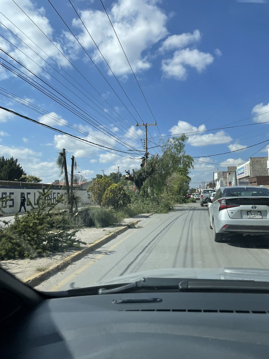 Jorge_Bte's tweet photo. Algún día, tal vez podamos convivir 🌱 juntos… (luego no se quejen que hace calor) 
AV. Juarez
@SemarnatSLP @EF_Galindo @SLPMunicipio @CFEmx @CFE_Contigo @ServMpalSLP @ElSoldeSanLuis @AstrolabioSLP @IngrataNoticia https://t.co/eqaNxIUhgu