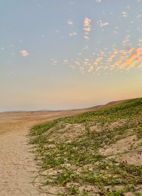 DBirgit23421's tweet image. I&apos;m blessed to have you as my friend. Thank you, bro. The author&apos;s expertise shines through in this article. Walter Mcleoud