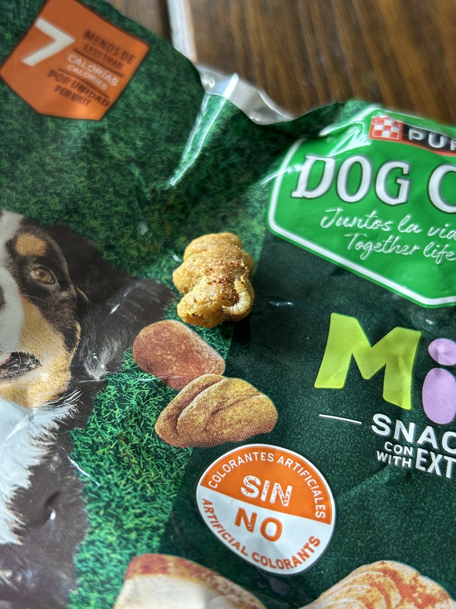 evperedo's tweet photo. @Purina_DogChow 
@Profeco 
Cuidado con DogChow trae gusanos sus productos, tengan cuidado con sus perritos revisen sus alimentos!!! https://t.co/6Fl4CgErQh